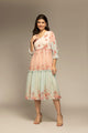 Multicolor Floral Printed Flared Dress
